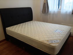 Suites @ Bukit Timah (D21), Apartment #155996442
